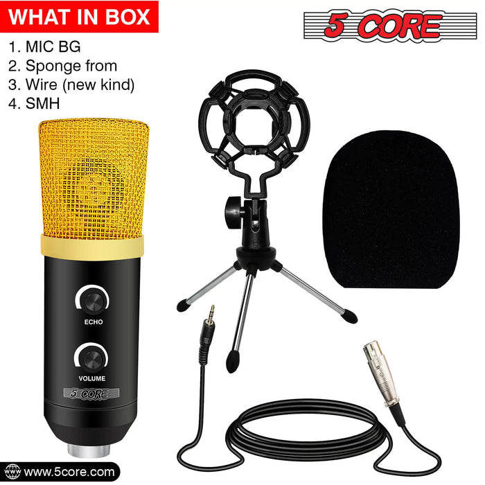 5Core Podcast Equipment Bundle Professional Studio XLR Condenser Recording Microphone Kit for vocals